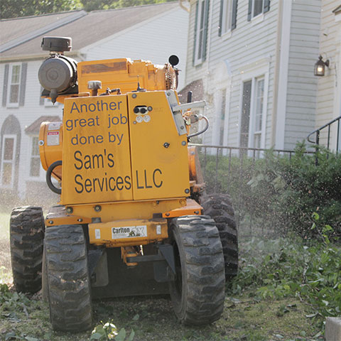 The back side of a yellow stump grinder that is grinding a stump in front of a townhouse