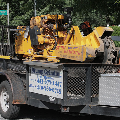 A yellow stump grinder sits on a Sam's Services trailer waiting to be unloaded